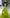 12 Factors that Influence the Quality of Extra Virgin Olive Oil