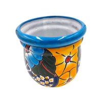 Thumbnail for Mexican Talavera