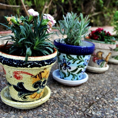 Cactus Canyon Ceramics garden pots with saucers