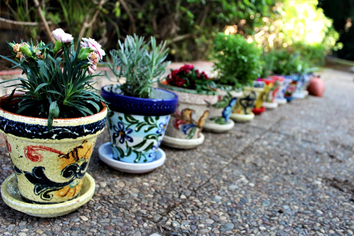 Mexican pottery from Cactus Canyon Ceramics