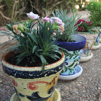 Thumbnail for Potted plants in Spanish pottery - flower pots, online gringocool.com