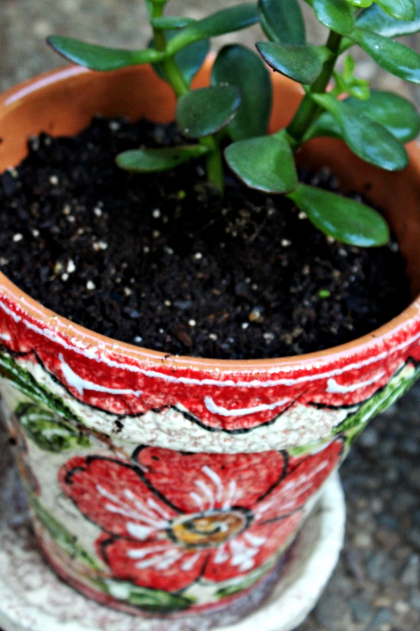 Spanish Garden Pot - Red Design