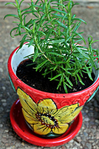 Thumbnail for planter from Spain - with saucer - buy online