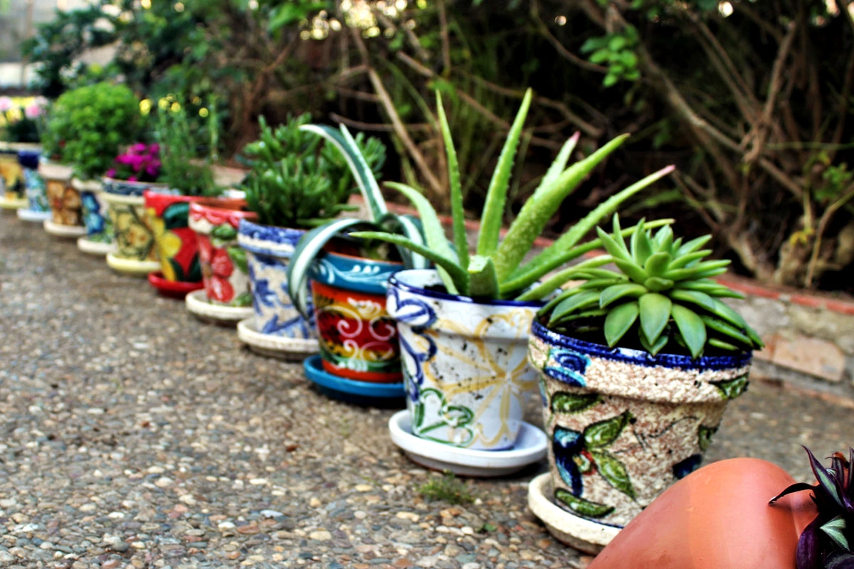 Buy ceramic flower pots online - Spanish pots with Mexican designs
