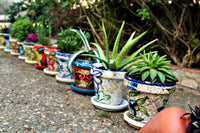 Thumbnail for Buy ceramic flower pots online - Spanish pots with Mexican designs