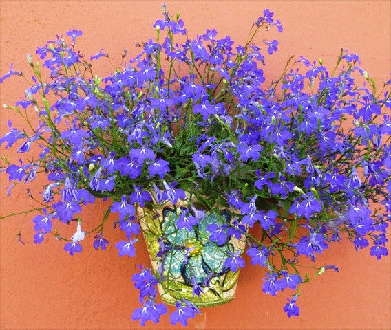 Wall Hanging Flower Pot (Green Design) - Hand Painted in Spain